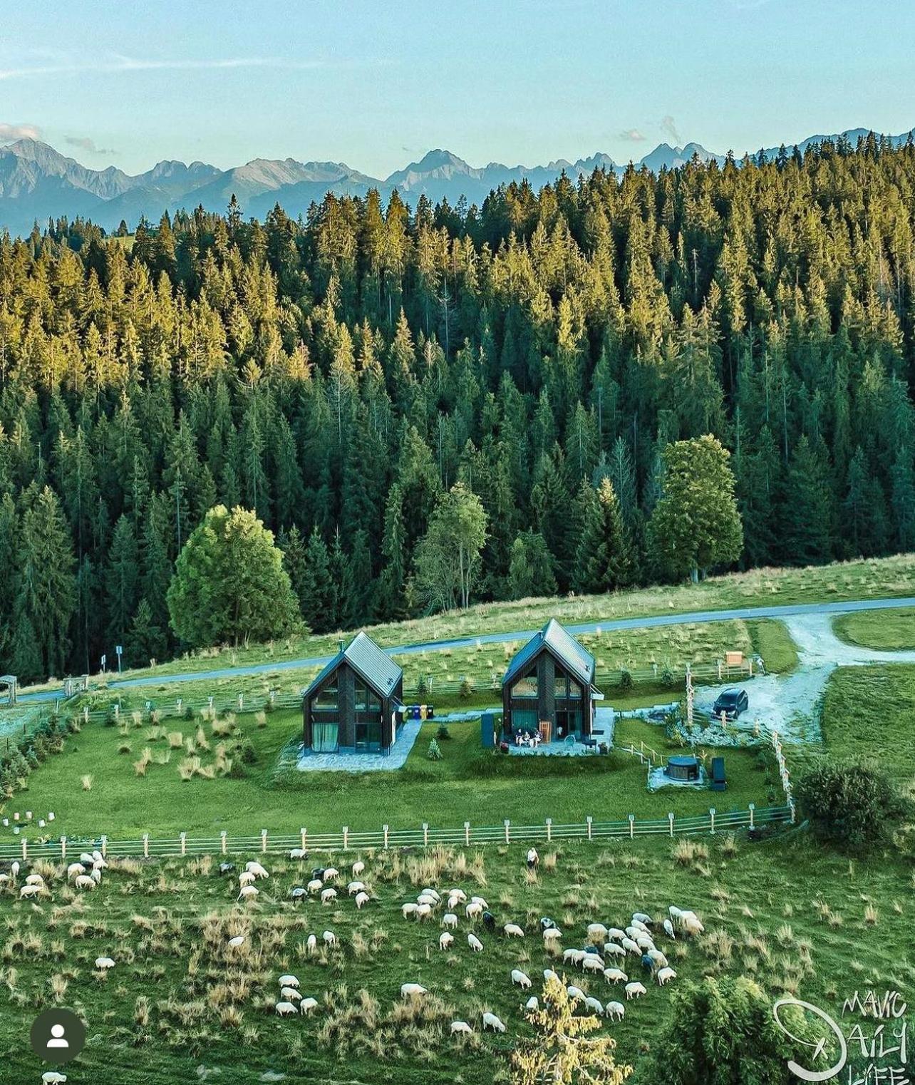 Owczarnia Tatry Villa Bukowina Tatrzańska Buitenkant foto